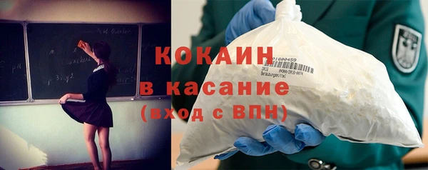 бошки Ладушкин