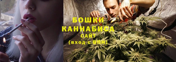 spice Лагань