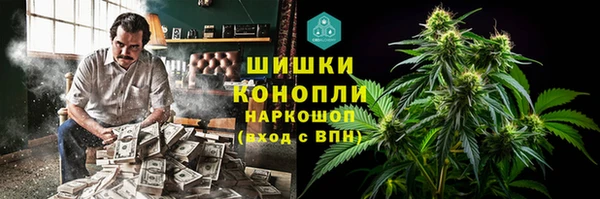 бошки Ладушкин