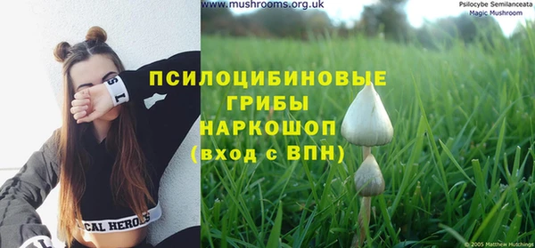 бошки Ладушкин