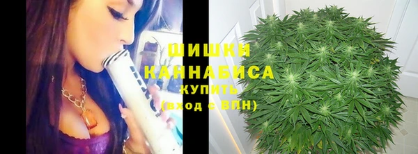 экстази Краснослободск