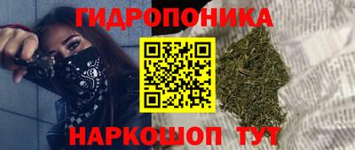 метадон Кингисепп